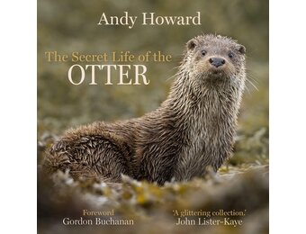 The Secret Life of the Otter