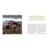 The Secret Life of the Otter