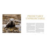 The Secret Life of the Otter