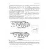 Manual of Afrotropical Diptera, Volume 2 - Nematocera & Lower Brachycera
