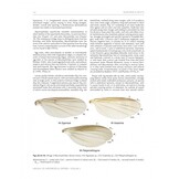 Manual of Afrotropical Diptera, Volume 2 - Nematocera & Lower Brachycera
