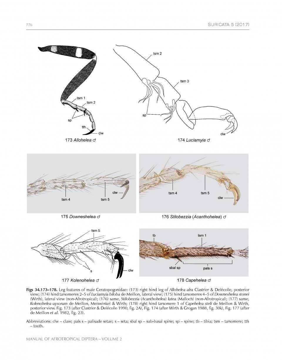 Manual of Afrotropical Diptera, Volume 2 - Nematocera & Lower Brachycera