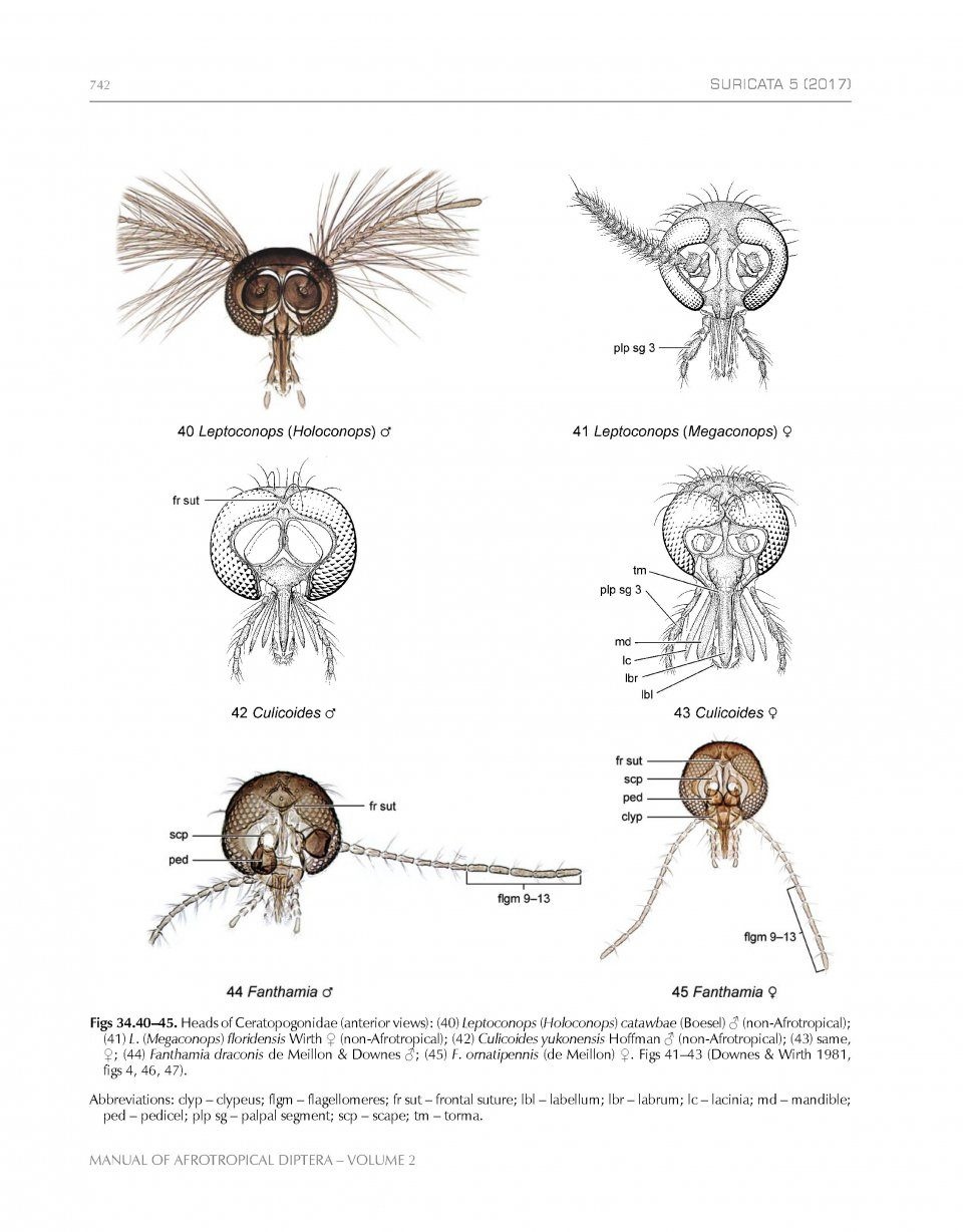 Manual of Afrotropical Diptera, Volume 2 - Nematocera & Lower Brachycera