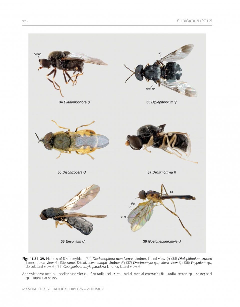 Manual of Afrotropical Diptera, Volume 2 - Nematocera & Lower Brachycera