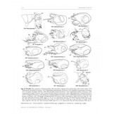 Manual of Afrotropical Diptera, Volume 2 - Nematocera & Lower Brachycera