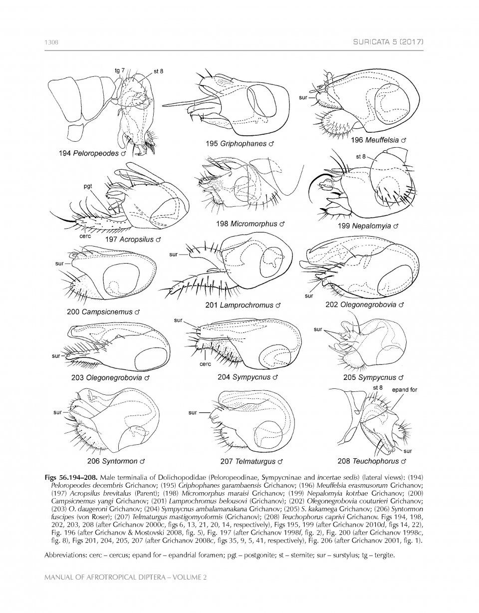 Manual of Afrotropical Diptera, Volume 2 - Nematocera & Lower Brachycera