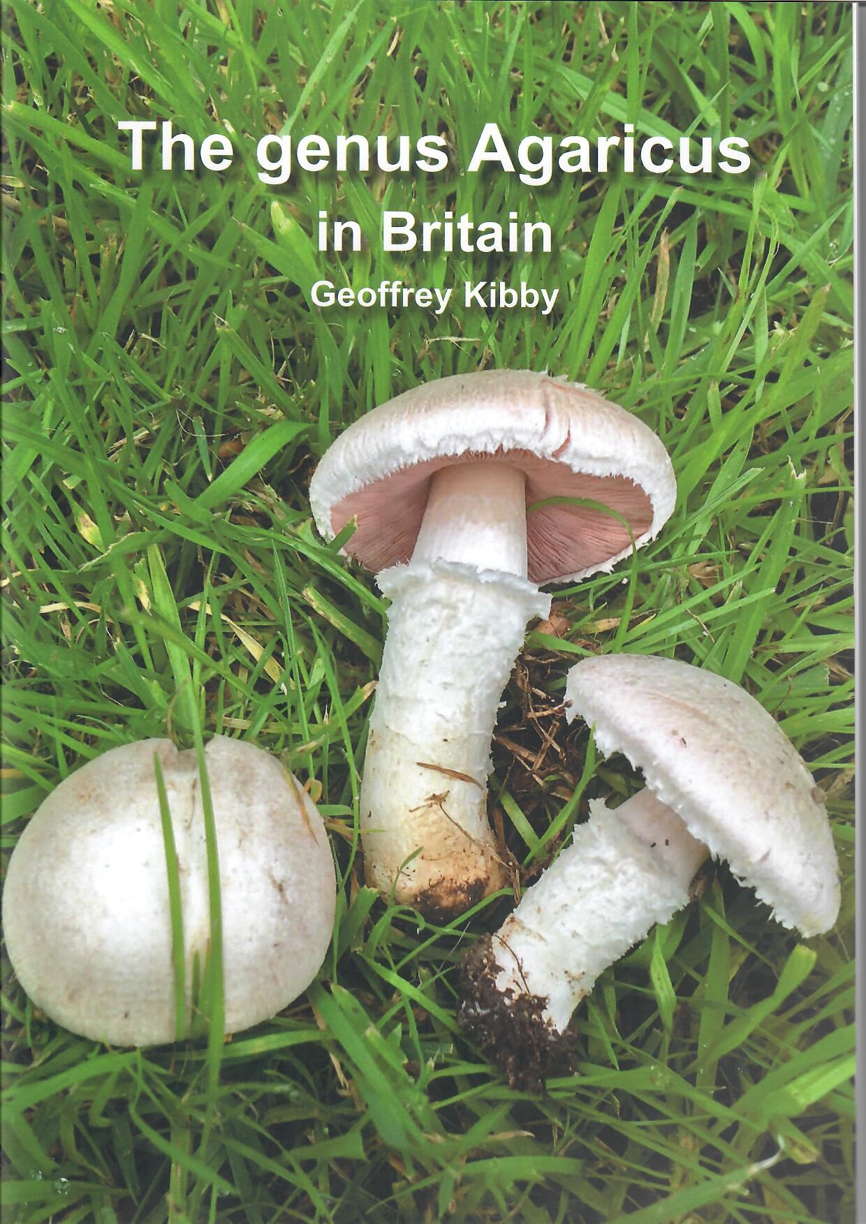 The Genus Agaricus in Britain