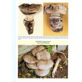 The Genus Agaricus in Britain