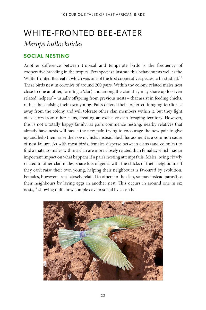 101 Curious Tales of East African Birds - A Brief Introduction to Tropical Ornithology