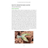 101 Curious Tales of East African Birds - A Brief Introduction to Tropical Ornithology