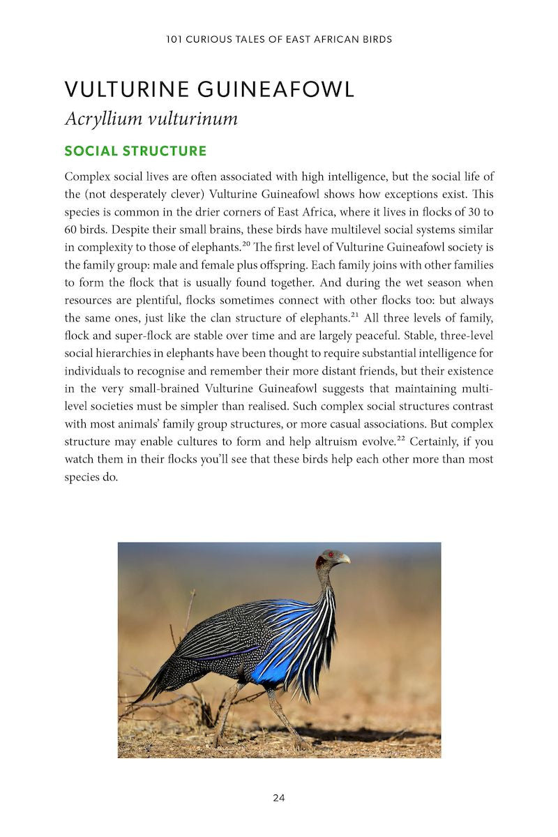 101 Curious Tales of East African Birds - A Brief Introduction to Tropical Ornithology