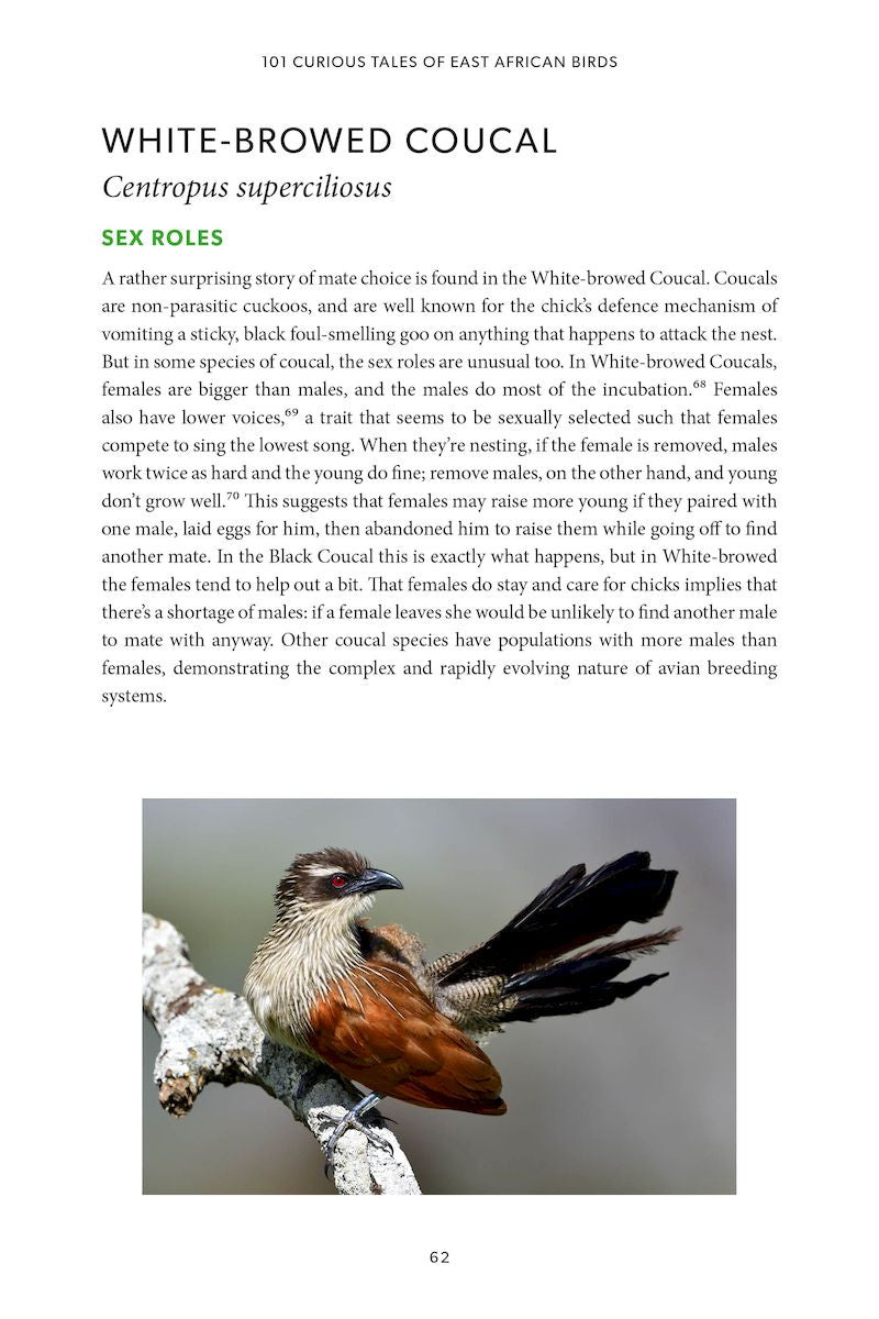101 Curious Tales of East African Birds - A Brief Introduction to Tropical Ornithology