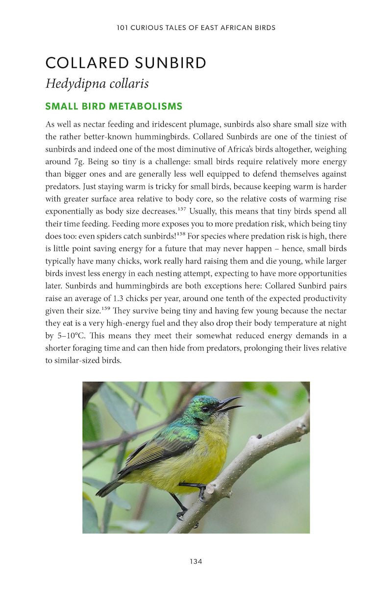 101 Curious Tales of East African Birds - A Brief Introduction to Tropical Ornithology