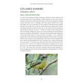 101 Curious Tales of East African Birds - A Brief Introduction to Tropical Ornithology