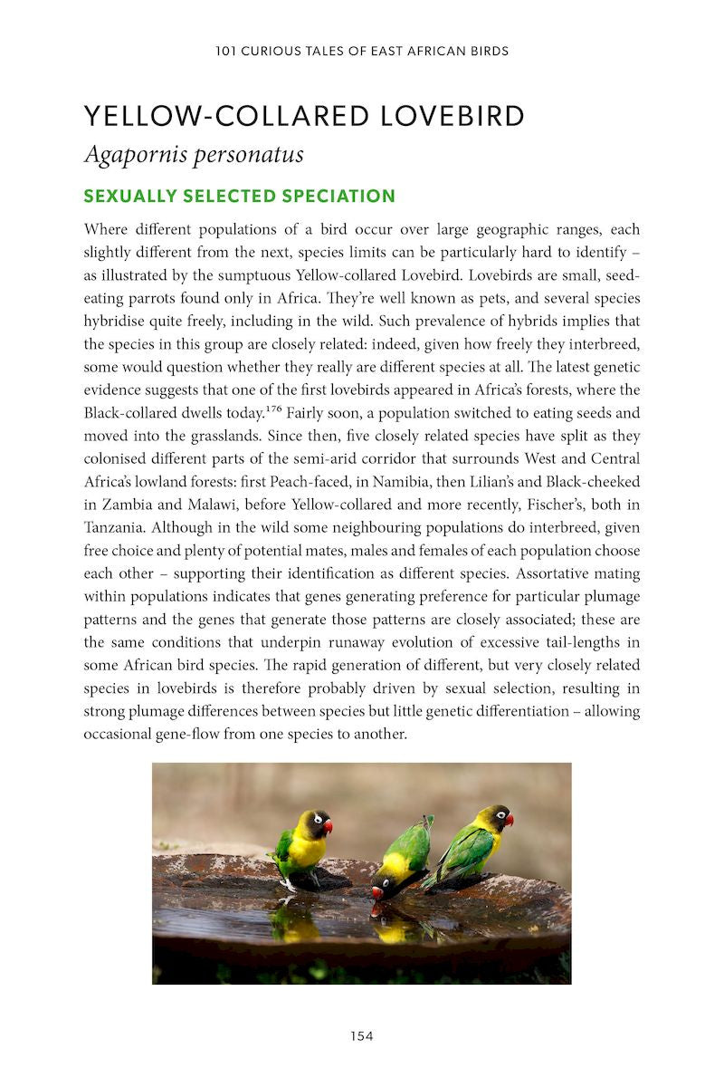 101 Curious Tales of East African Birds - A Brief Introduction to Tropical Ornithology
