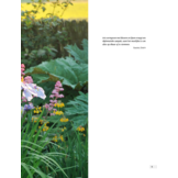 De complete kleurengids voor de tuin