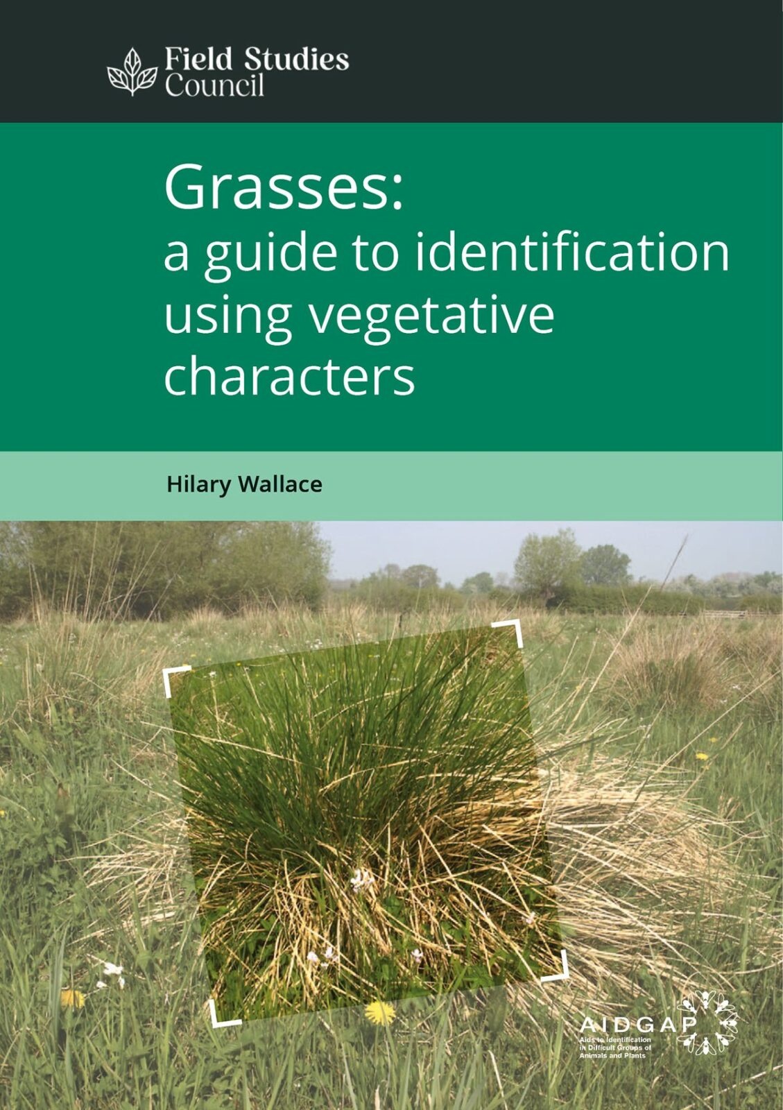 Grasses: A Guide to Identification Using Vegetative Characters