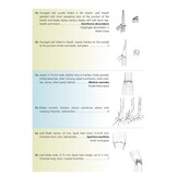 Grasses: A Guide to Identification Using Vegetative Characters
