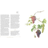 Plants of the Qur’ān - History & Culture