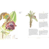 Plants of the Qur’ān - History & Culture