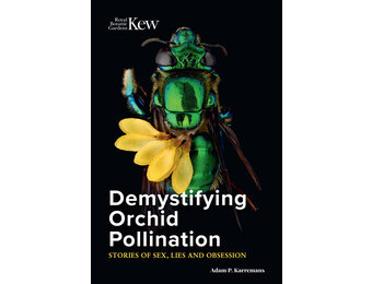 Demystifying Orchid Pollination