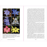 Demystifying Orchid Pollination - Stories of Sex, Lies and Obsession