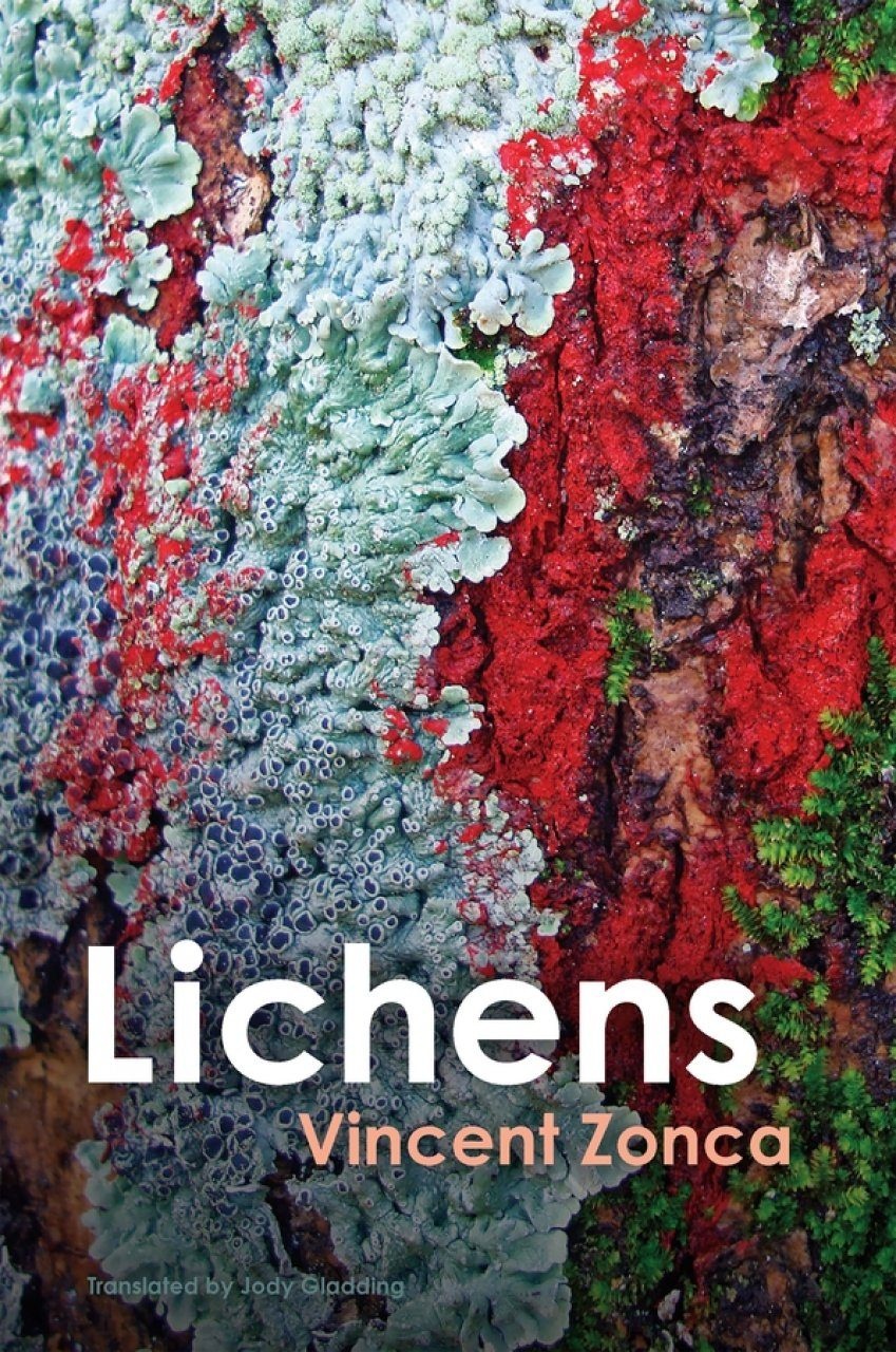 Lichens - Towards a Minimal Resistance