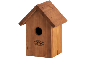 Nistkasten Zaunkönig Douglas Holz