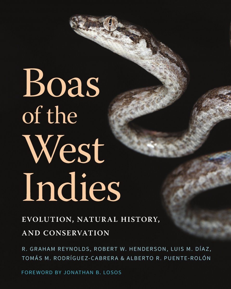 Boas of the West Indies - Evolution, Natural History and Conservation