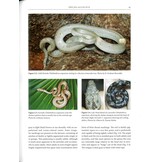 Boas of the West Indies - Evolution, Natural History and Conservation