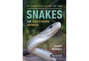 A Complete Guide to the Snakes of Southern Africa