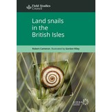 Land Snails in the British Isles