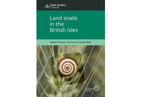 Land Snails in the British Isles