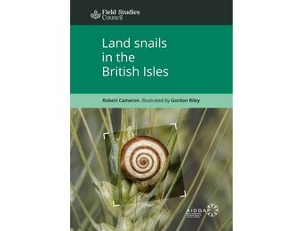 Land Snails in the British Isles