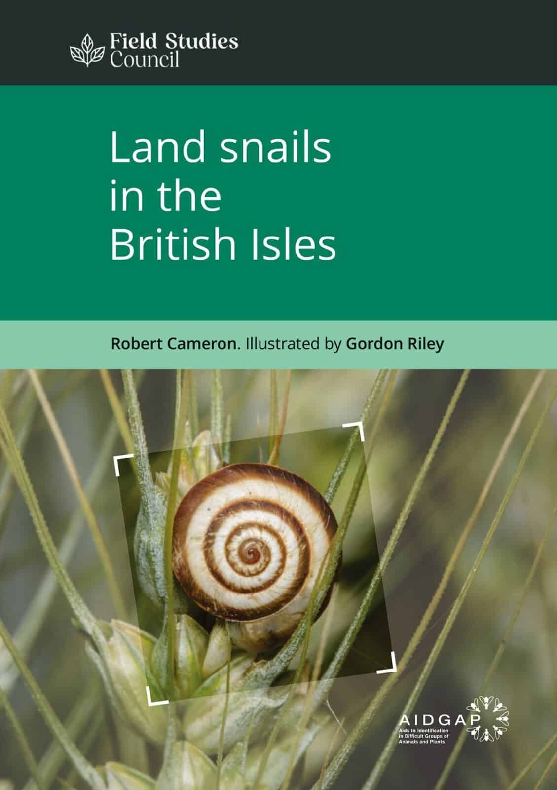 Land Snails in the British Isles