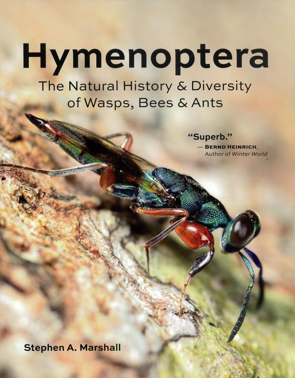 Hymenoptera - The Natural History & Diversity of Wasps, Bees & Ants