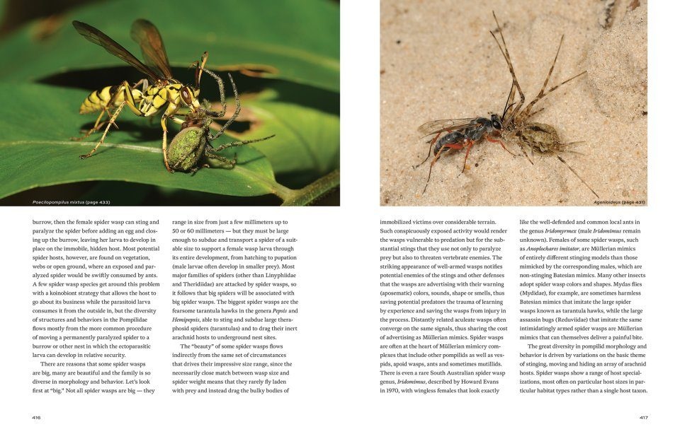 Hymenoptera - The Natural History & Diversity of Wasps, Bees & Ants