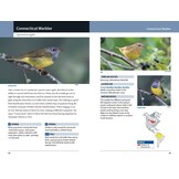 Warblers of Eastern North America