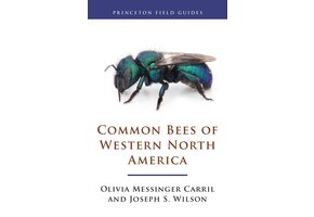 Common Bees of Western North America