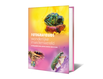 Fotografiegids Wonderlijke insectenwereld