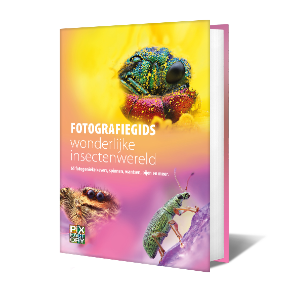 Fotografiegids Wonderlijke insectenwereld - 65 fotogenieke kevers, spinnen, wantsen, bijen en meer