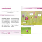 Fotografiegids Wonderlijke insectenwereld - 65 fotogenieke kevers, spinnen, wantsen, bijen en meer