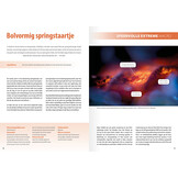 Fotografiegids Wonderlijke insectenwereld - 65 fotogenieke kevers, spinnen, wantsen, bijen en meer