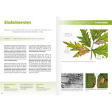 Fotografiegids Wonderlijke insectenwereld - 65 fotogenieke kevers, spinnen, wantsen, bijen en meer