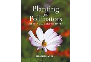 Planting for Pollinators