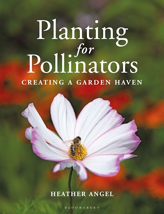 Planting for Pollinators - Creating a Garden Haven