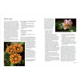 Planting for Pollinators - Creating a Garden Haven