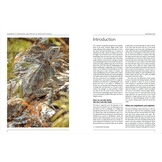 Handbook of Amphibians and Reptiles of North-East Africa