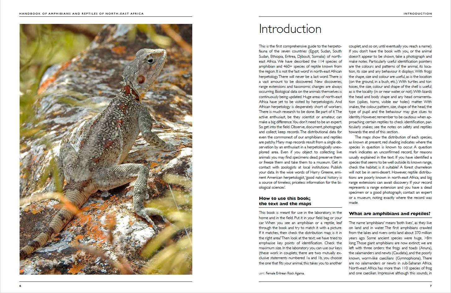 Handbook of Amphibians and Reptiles of North-East Africa