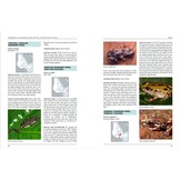 Handbook of Amphibians and Reptiles of North-East Africa